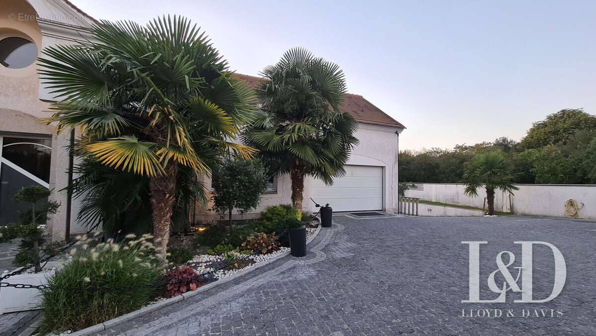 Commerce à MORSANG-SUR-SEINE