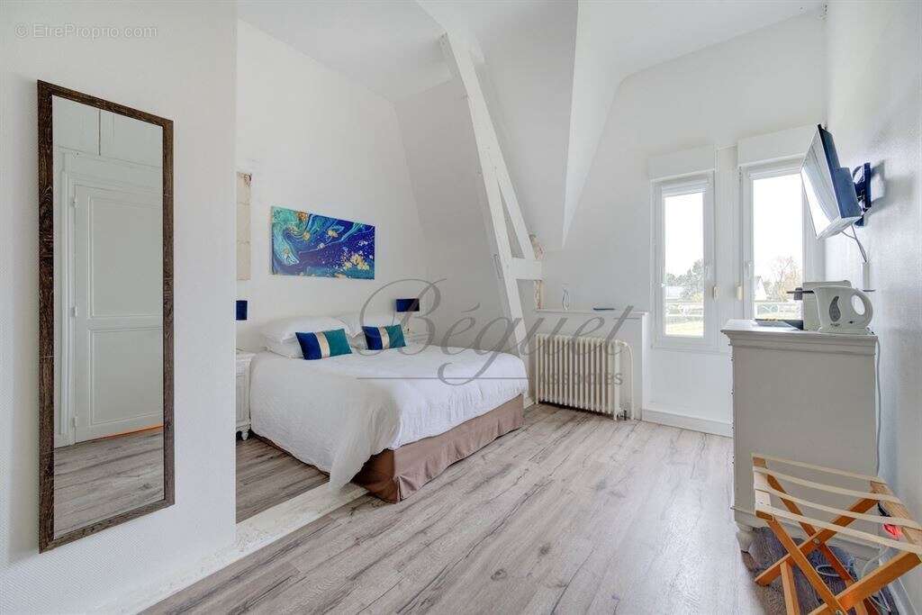 Cravant-les-Côteaux - 37500 - Maison - 325 m2 - 7 chambres - 2 gites - Piscine - parc 7000 m² - photo 7