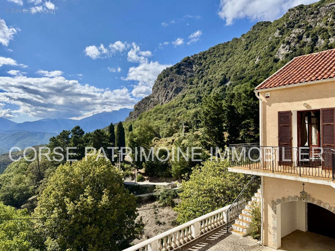 Maison à PIEDICORTE-DI-GAGGIO