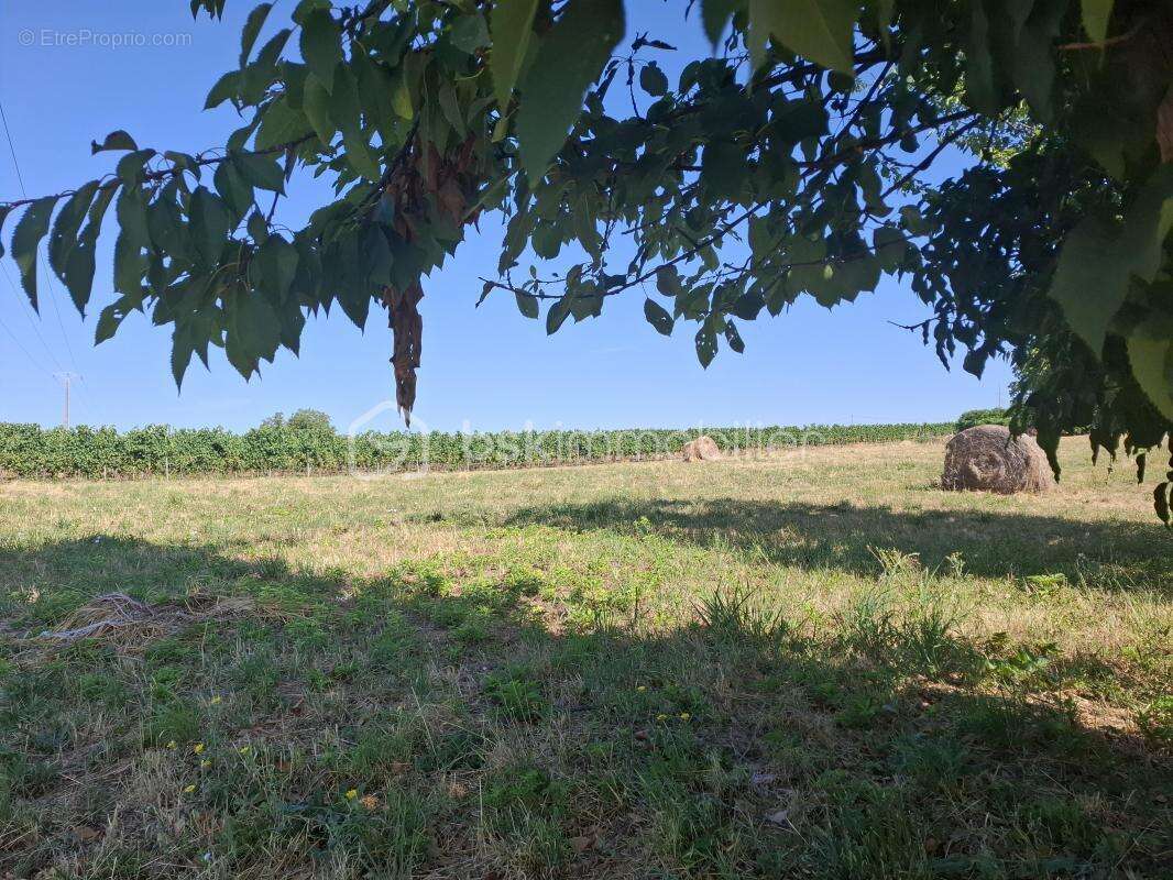 Terrain à bâtir 1490 m² – Mérignas (33350) - photo 5