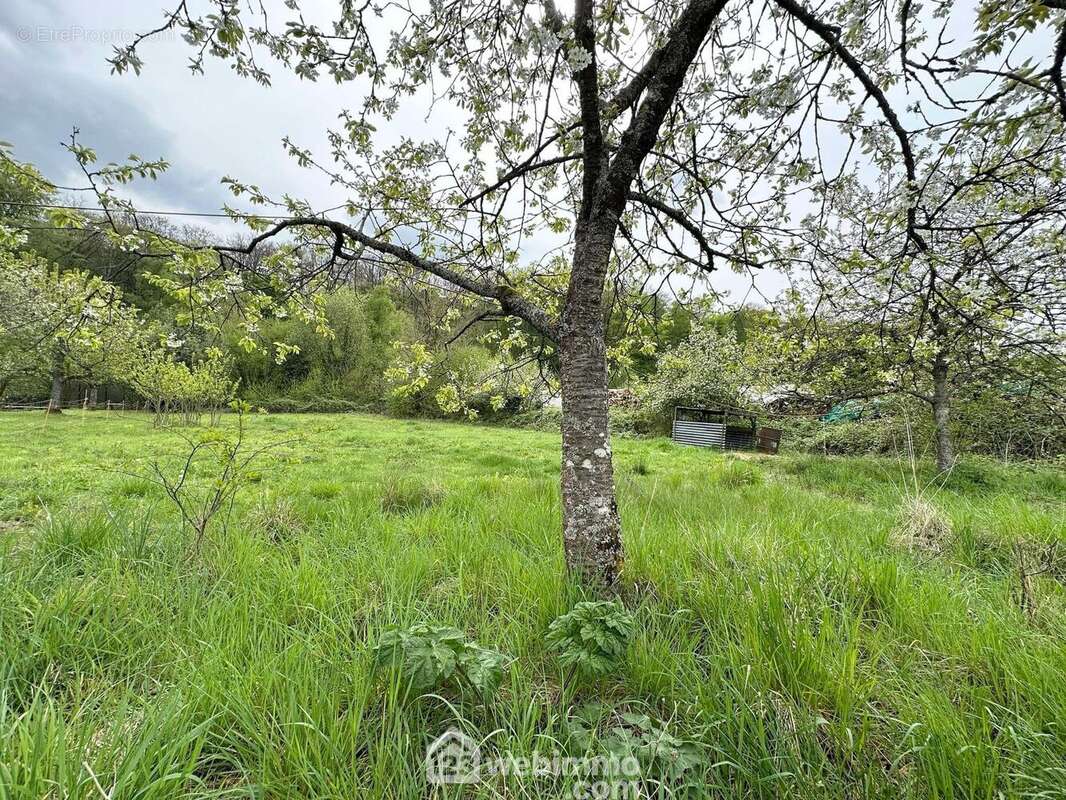 L'environnement ! - Terrain à MAUREGNY-EN-HAYE