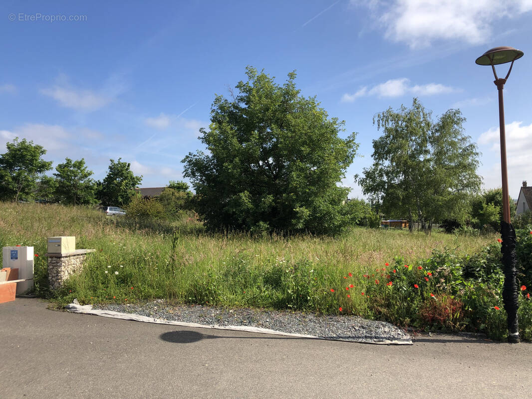 Terrain à AZAY-SUR-CHER