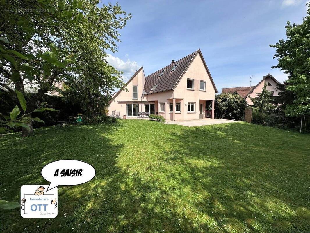 Vue depuis le jardin - Maison à HOENHEIM