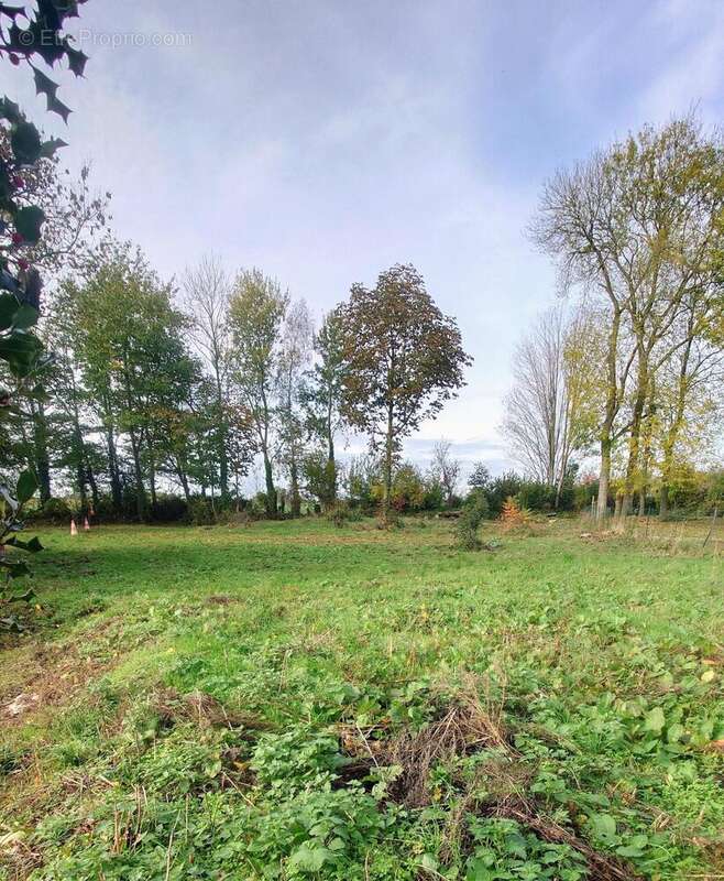 Photo 2 - Terrain à NORVILLE