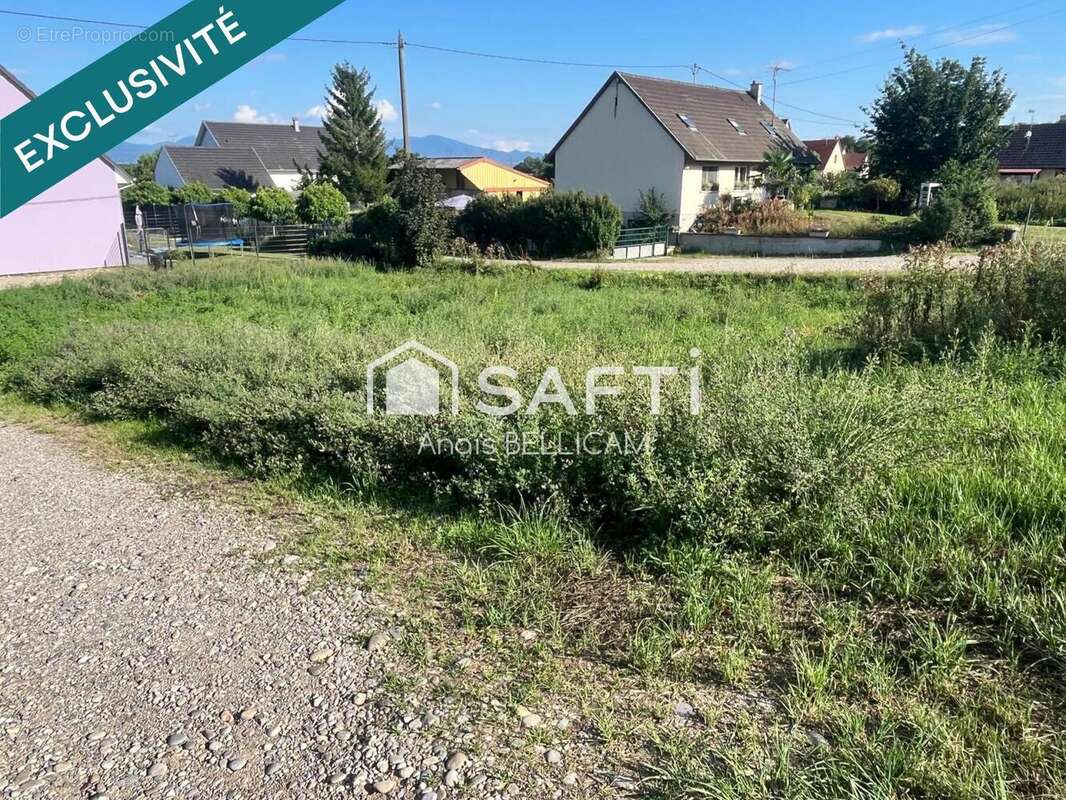 Terrain 502 m² à Balgau  - photo 4