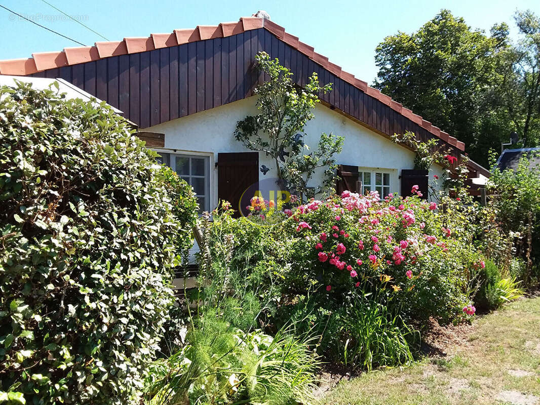 Maison à VENDAYS-MONTALIVET