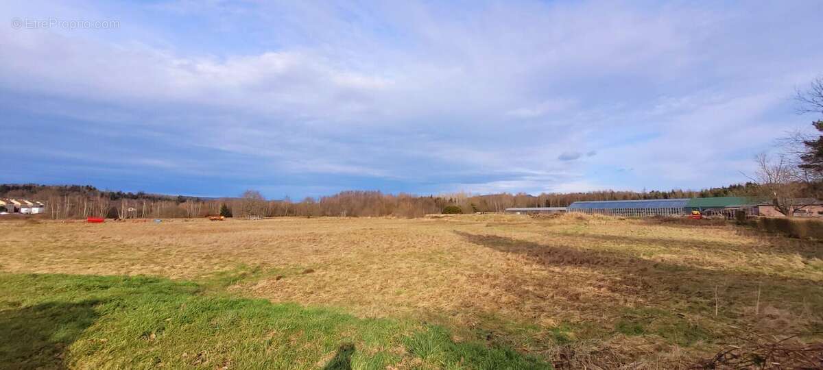 Terrain à SAINT-MICHEL-SUR-MEURTHE