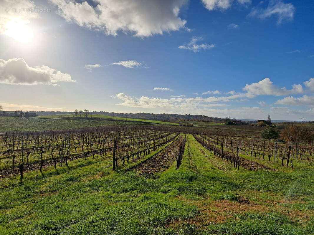 Parking à SAINT-MACAIRE