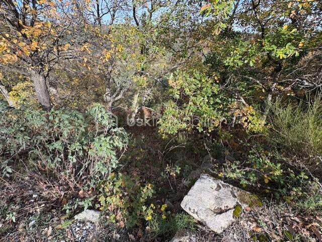 Terrain 10850 m2 Rabouillet - photo 5