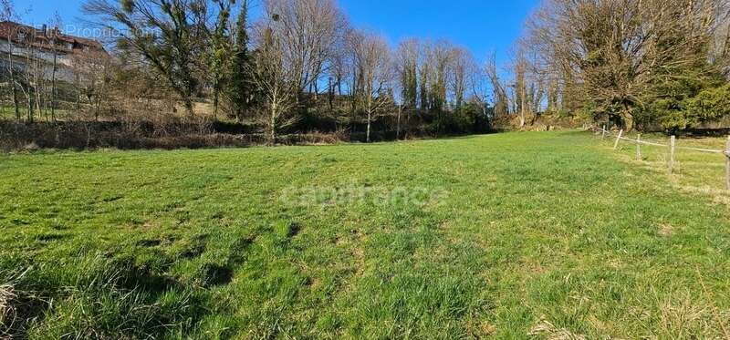 Terrain à ARBOIS