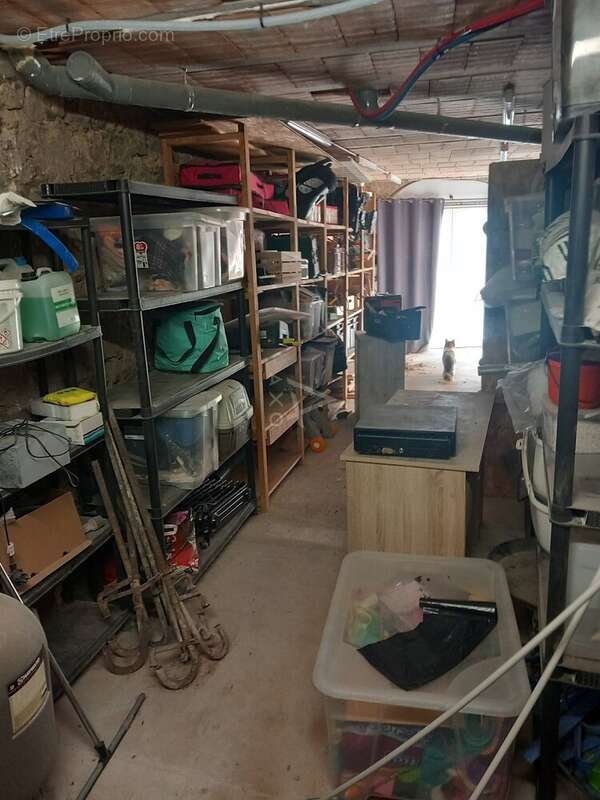 Maison à SAINT-ANDRE-DE-SANGONIS