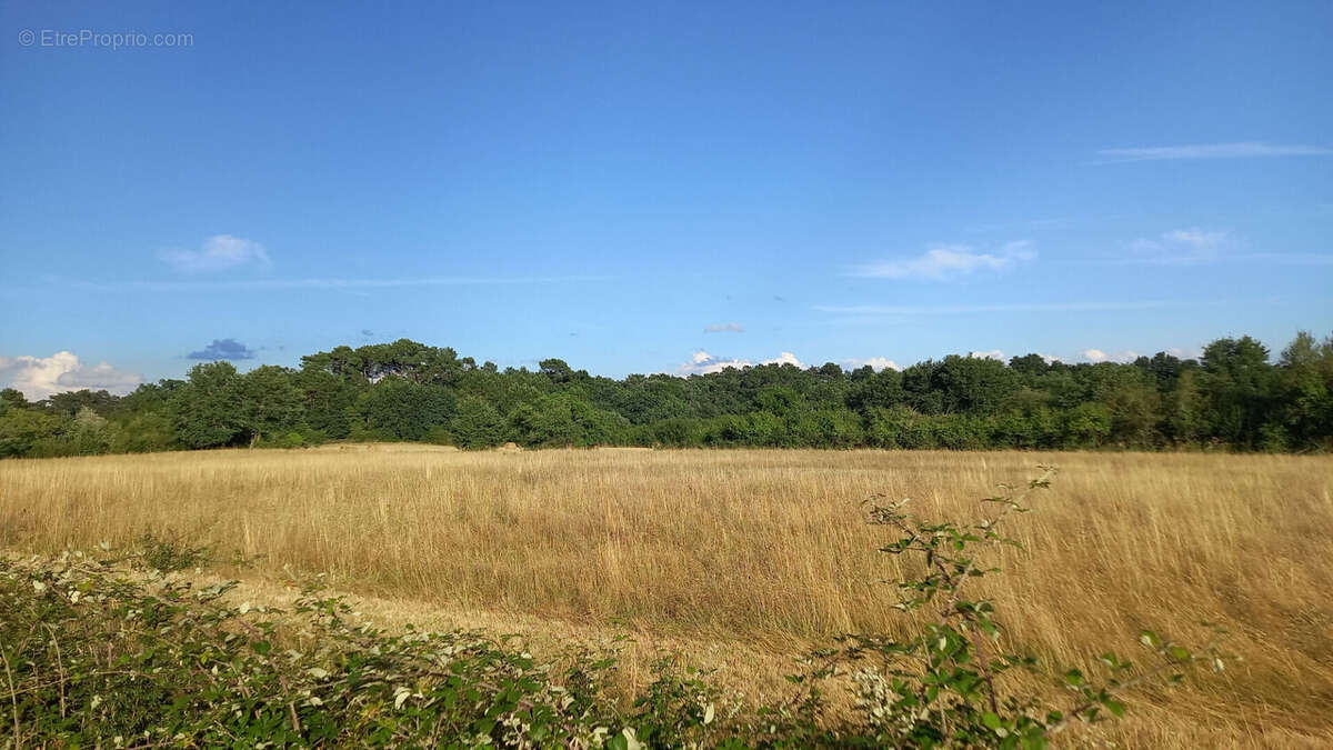 Terrain 1400m² à montpon-ménestérol - photo 3