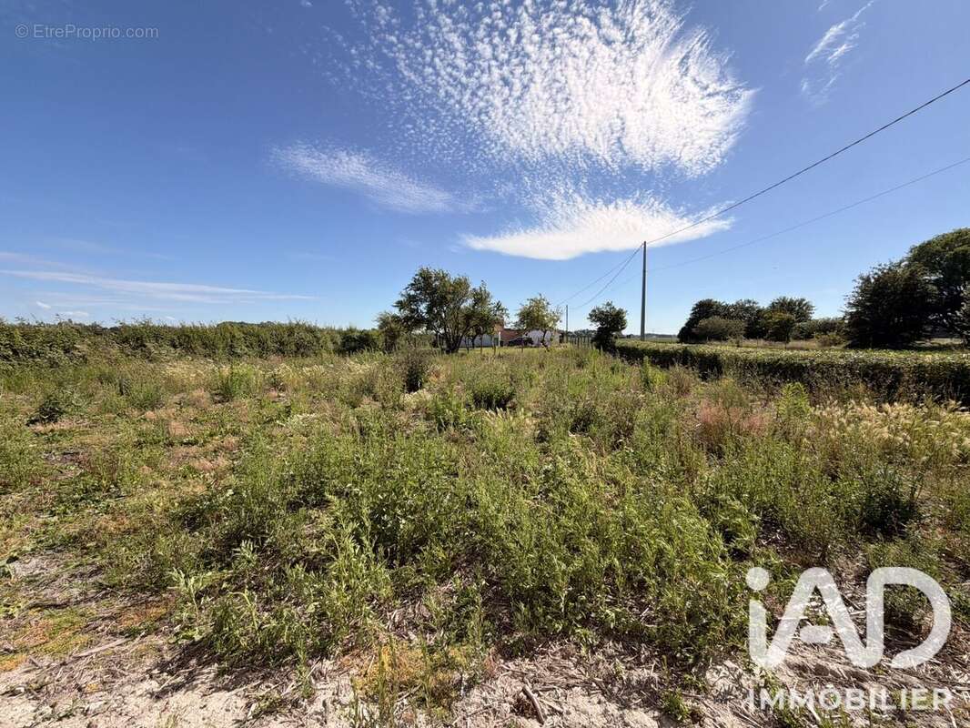 Terrain 631 m² à Looberghe  - photo 8