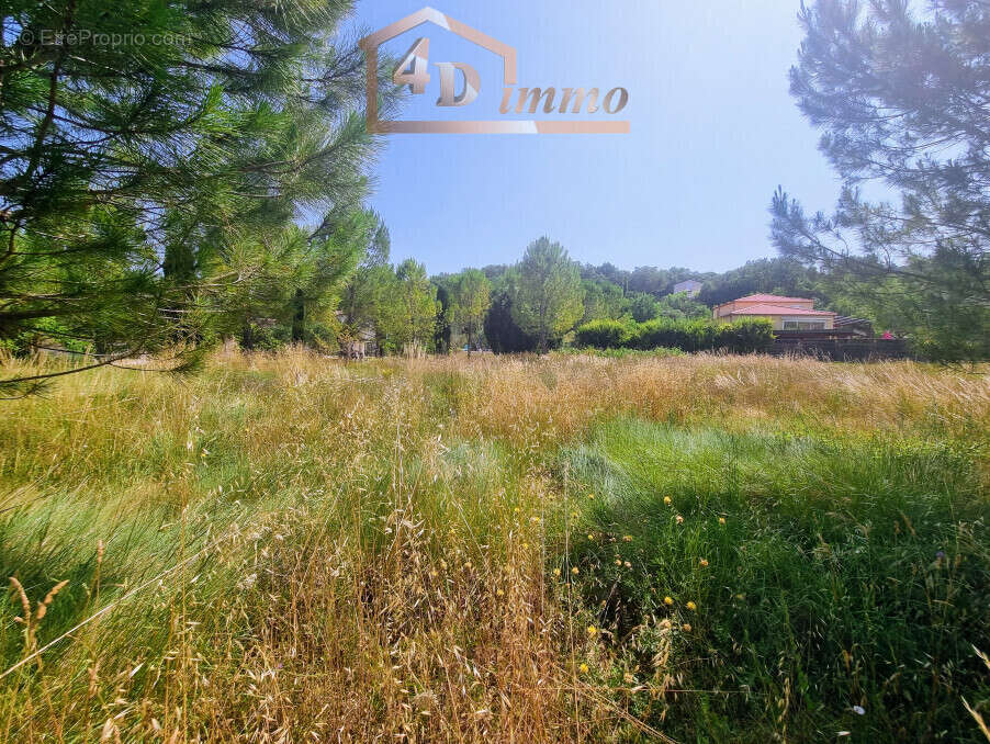 Terrain à SAINT-JEAN-DE-MARUEJOLS-ET-AVEJAN