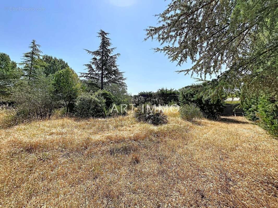 Maison de plain pied a rafraichir en zone uc - photo 4