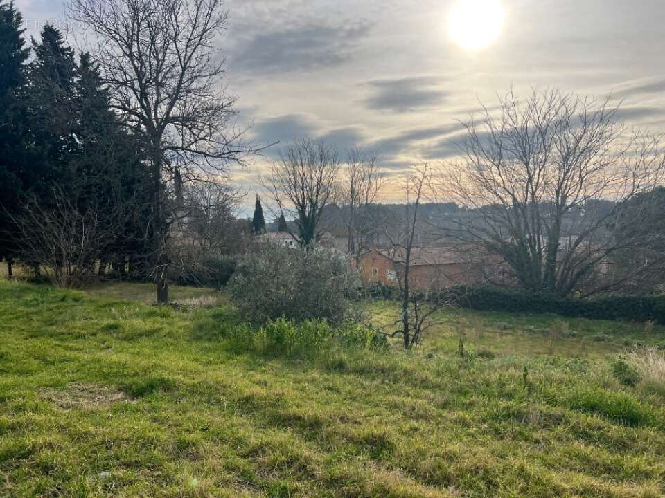 Terrain à SAINT-CHAMAS
