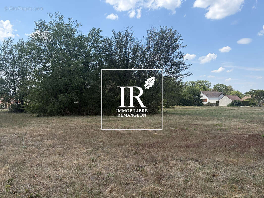 Terrain 6129 m² à Souesmes  - photo 2