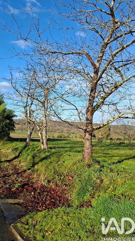 Photo 4 - Terrain à BERNEDE