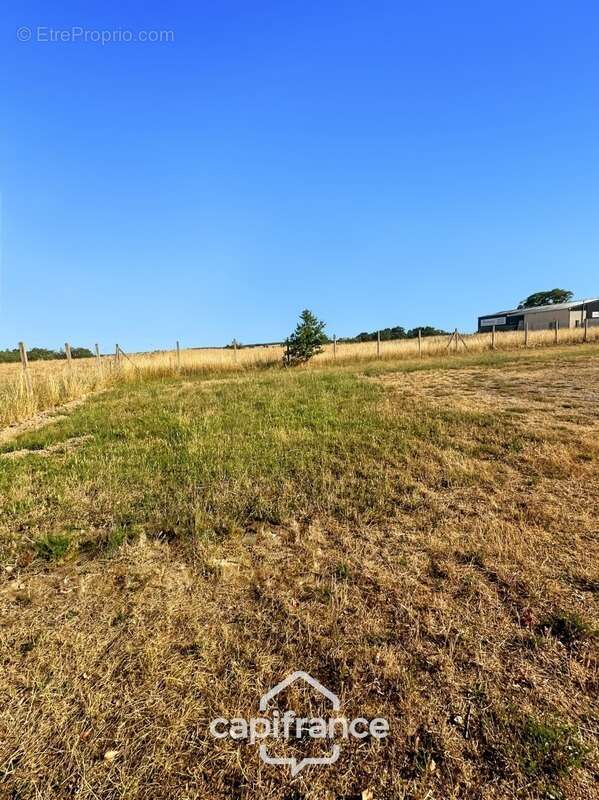 Local/bureau à vendre de 480 m2 sur 4027 m2 de terrain - photo 15