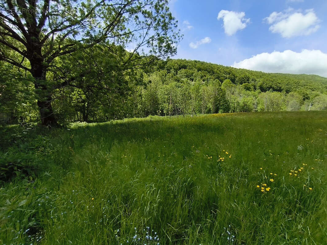 Maison à VILLARD-DE-LANS