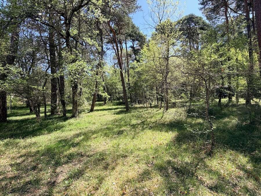 Terrain à PLAN-D'AUPS-SAINTE-BAUME