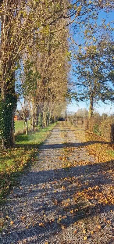 Maison à SAINT-VENANT