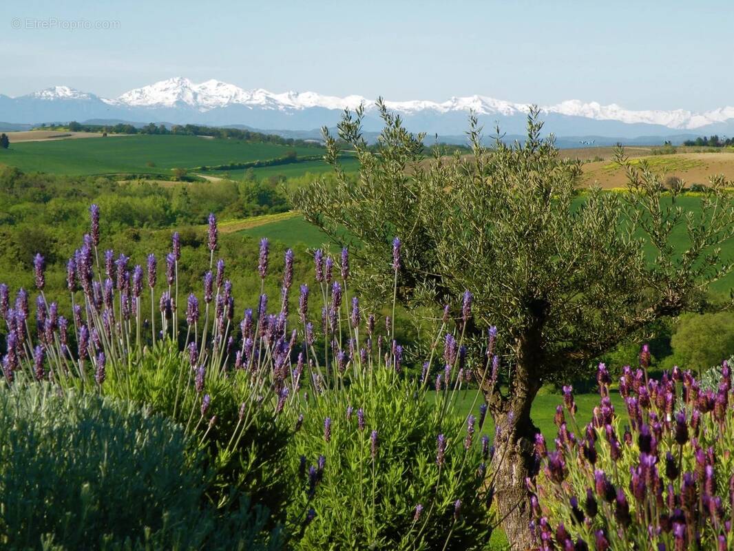 Maison à CARCASSONNE