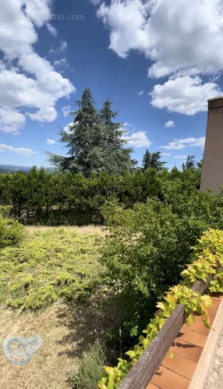 ST CHRISTOL - maison individuelle de 128 m² - photo 12