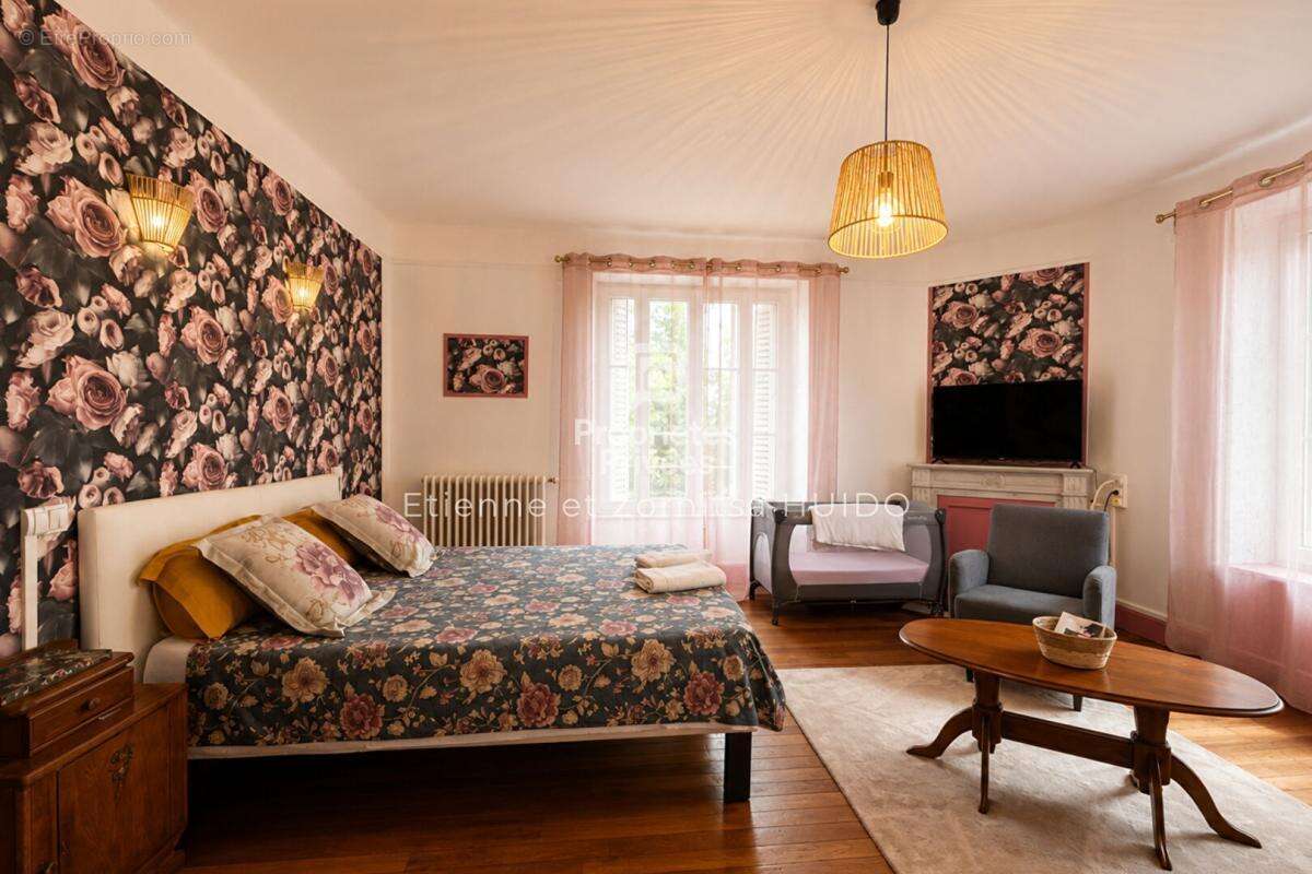 Maison de maître de 231 m² avec deux habitations Centre-ville de Vatan - photo 6