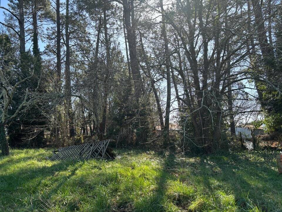 Terrain à ANDERNOS-LES-BAINS