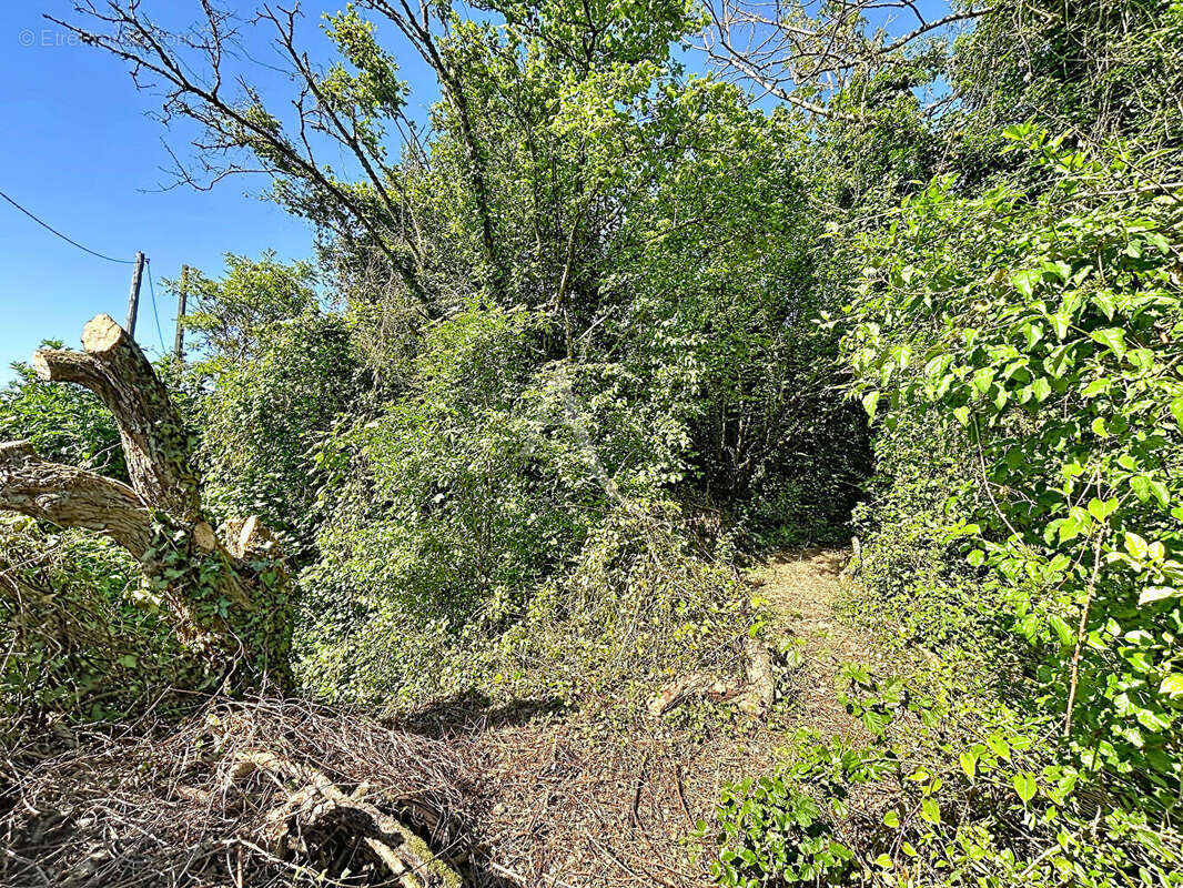 Terrain à RUBELLES