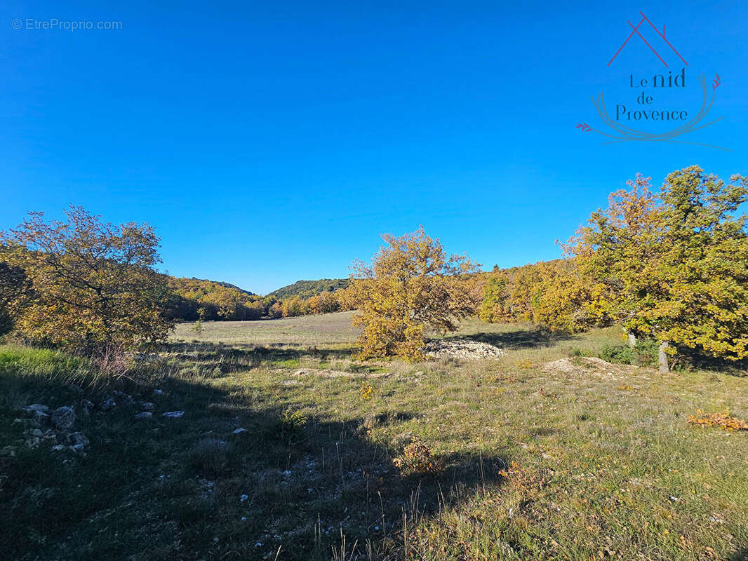 Mas provençal authentique de 150 m2 entre Gordes et Venasque, en pleine nature - photo 12