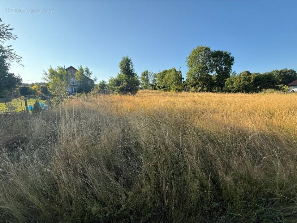 Terrain à SAINT-MAURICE-DE-ROTHERENS