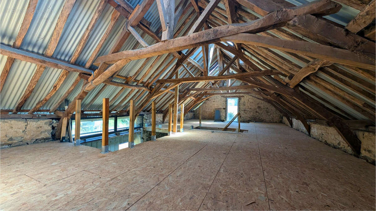 Bâtiment 170m2 - Le lion D'Angers - photo 3