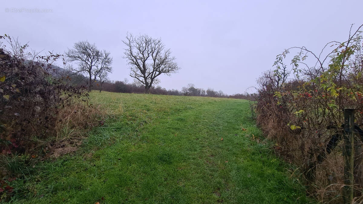 Terrain à BLENOD-LES-TOUL