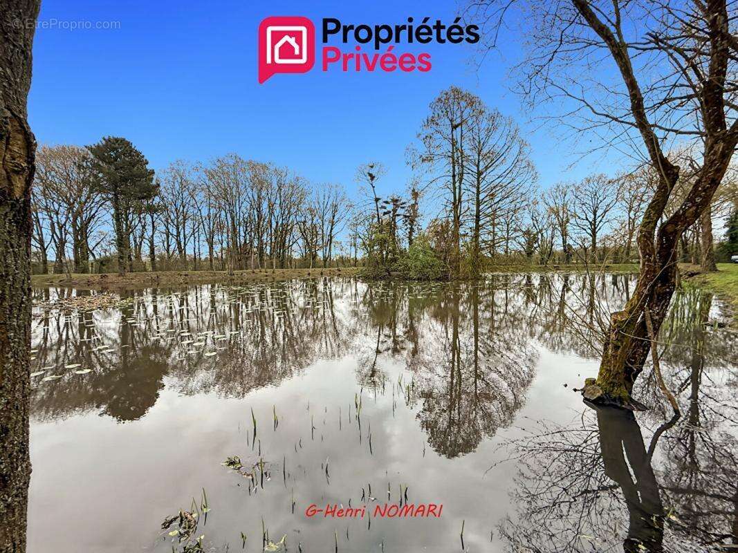Terrain à MARTIGNE-FERCHAUD