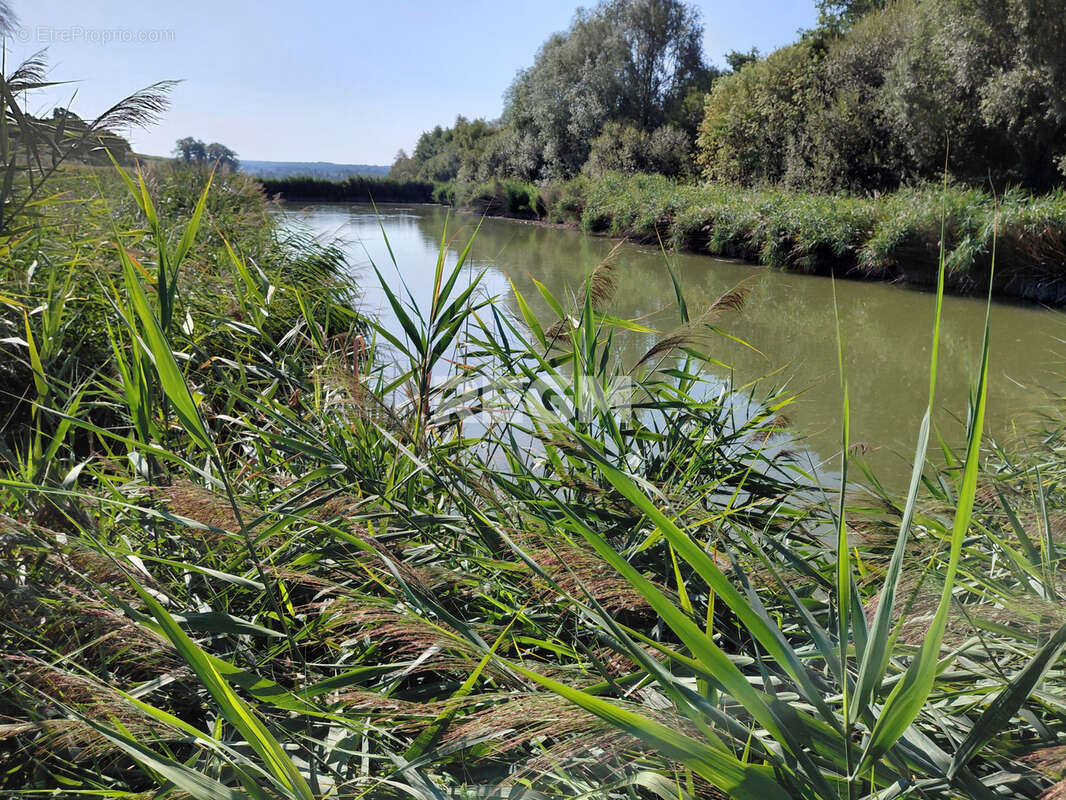 Très bel ensemble immobilier, comprenant maison avec piscine dans parc, grande serre pour tous légumes, hangar - photo 19