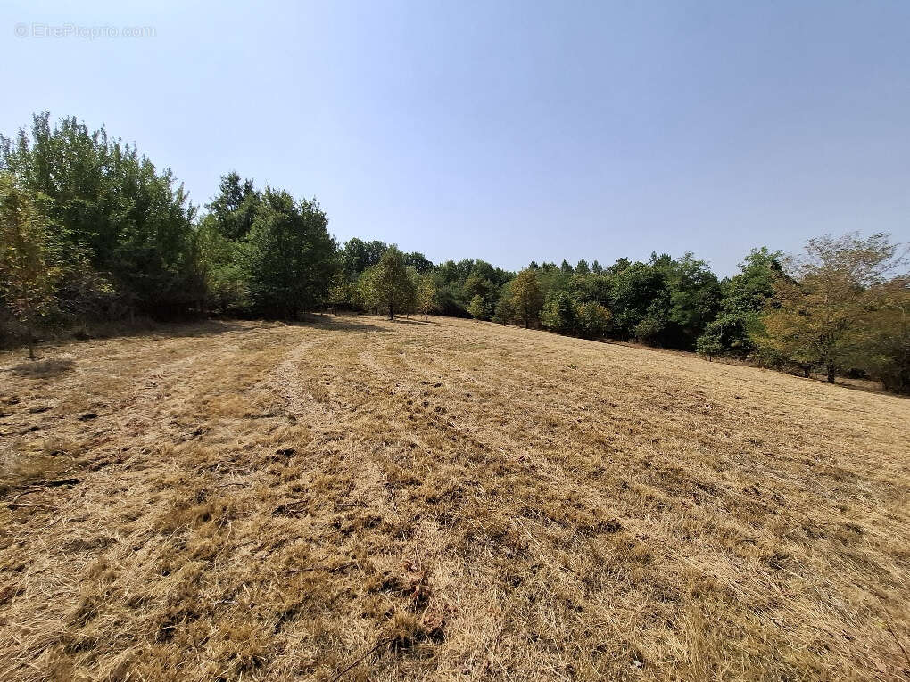 Terrain à THENON
