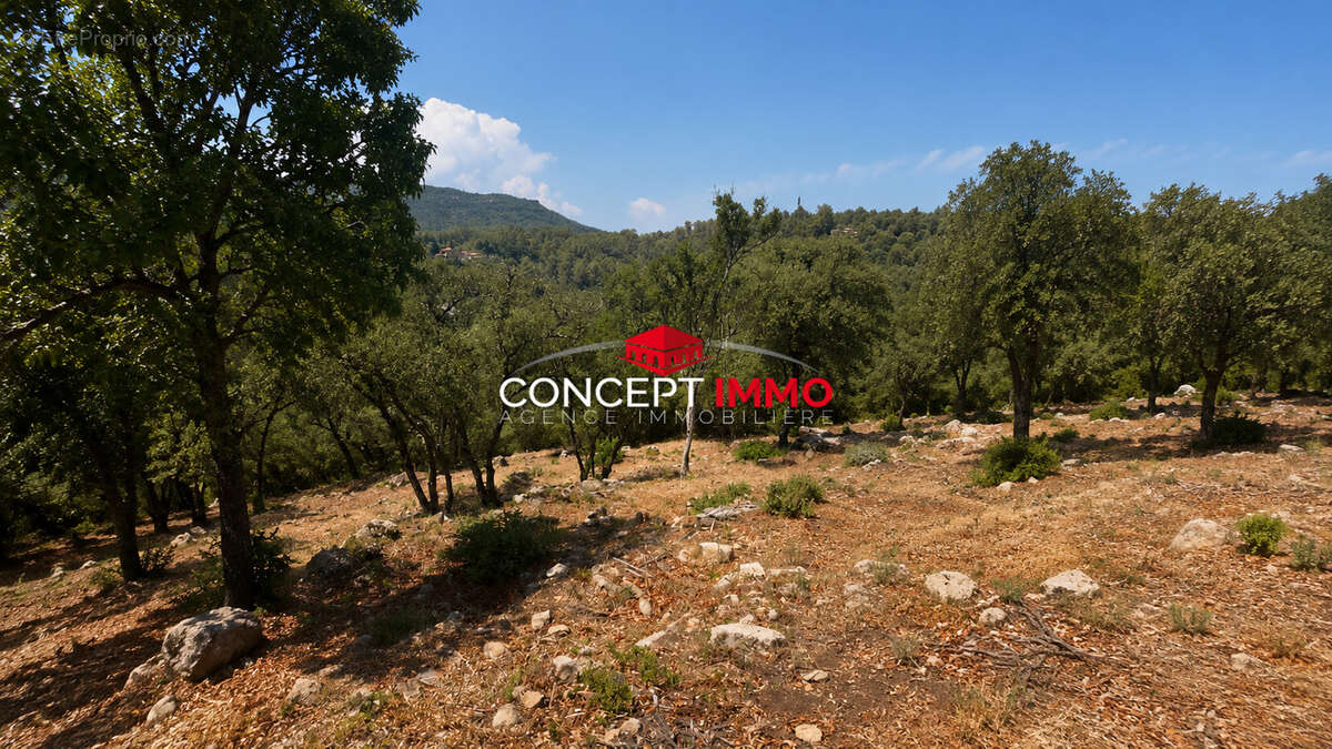 Terrain à bâtir de 2302 m2 avec vue dégagée - photo 2