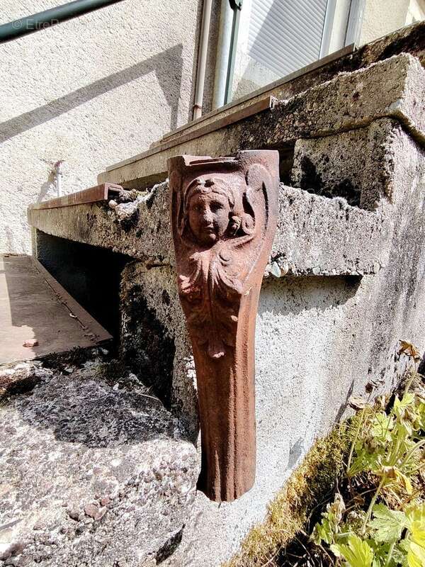 Charmante maison individuelle avec jardin en Haute-Saône. - photo 45