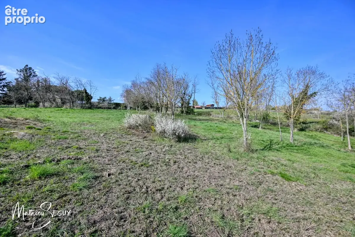 Ancien Moulin sur 1,3 Ha de terrain à MESSIMY (69) - photo 31