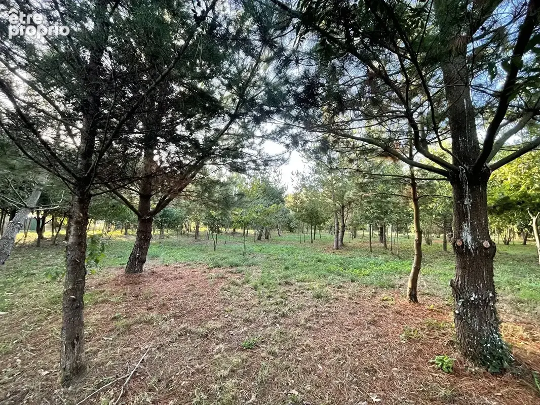 Terrain La Garnache 8230 m2 - photo 6