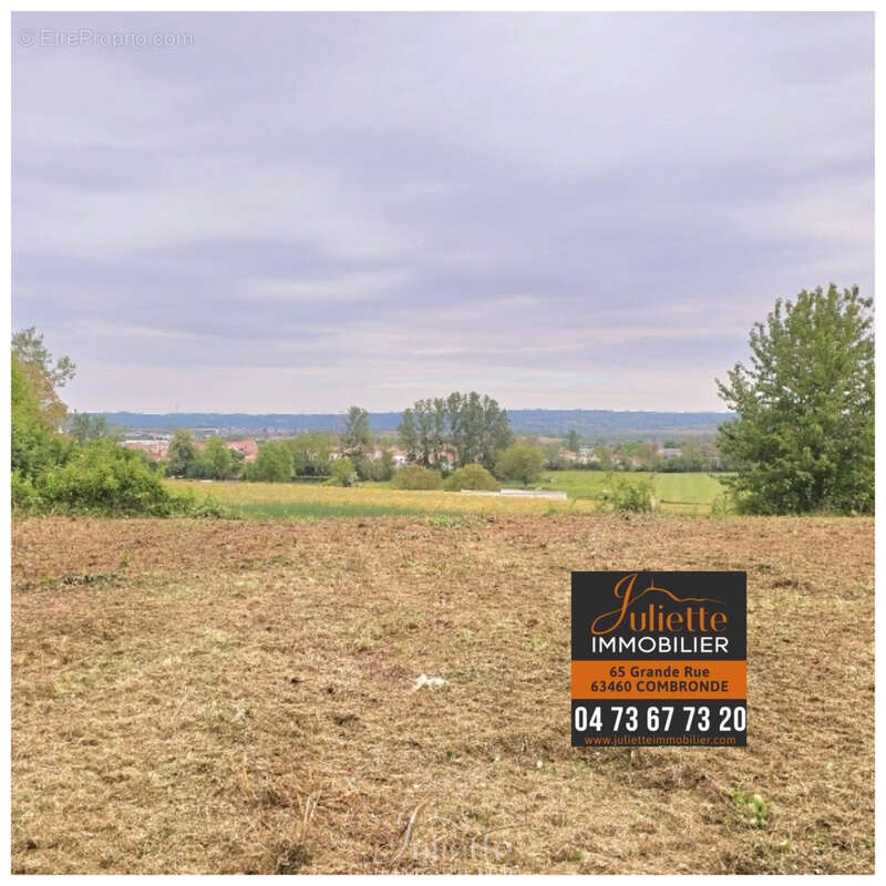 Terrain de 2412m2 dont 703m2 constructible - photo 2