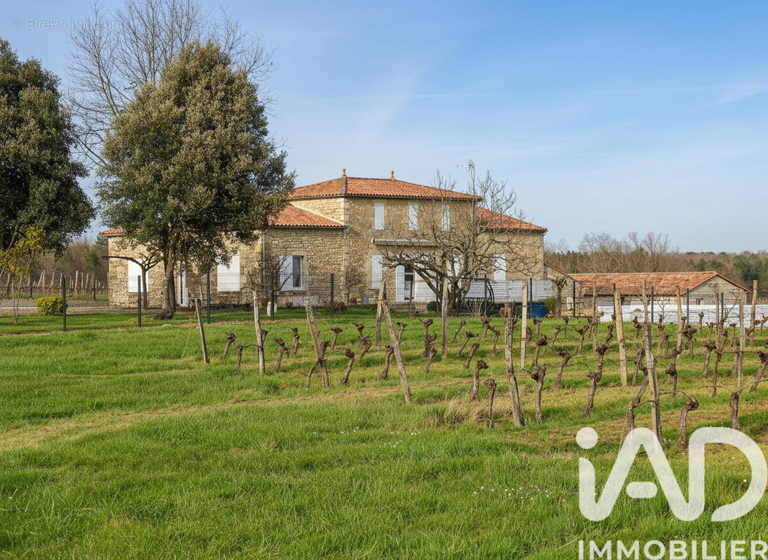 Photo 1 - Maison à SAUVETERRE-DE-GUYENNE