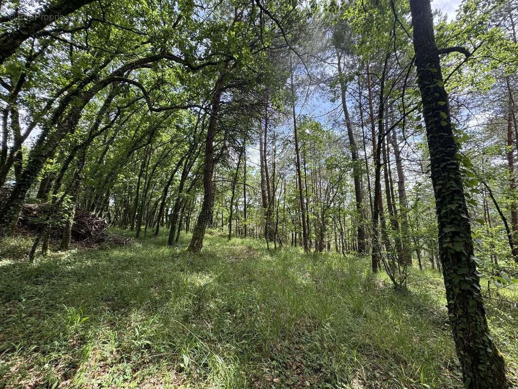 Maison indépendante au calme avec terrain boisé proche commerces - photo 4