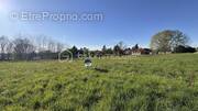 Terrain à ROUFFIGNAC-DE-SIGOULES
