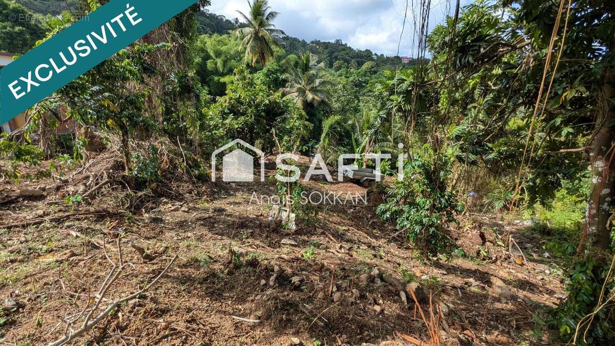 Photo 5 - Terrain à RIVIERE-SALEE