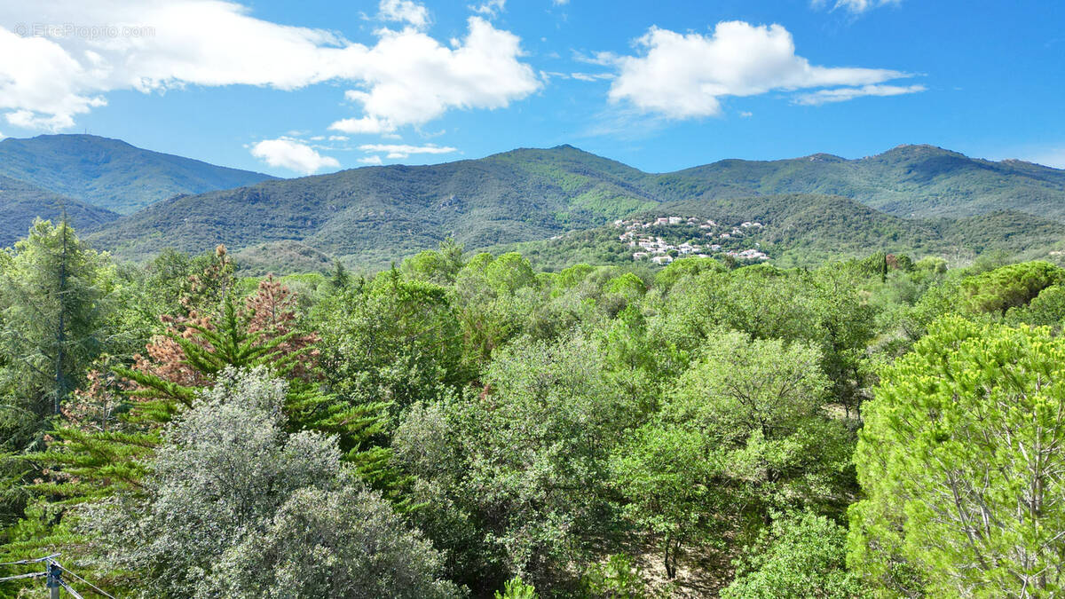 Terrain à LAROQUE-DES-ALBERES