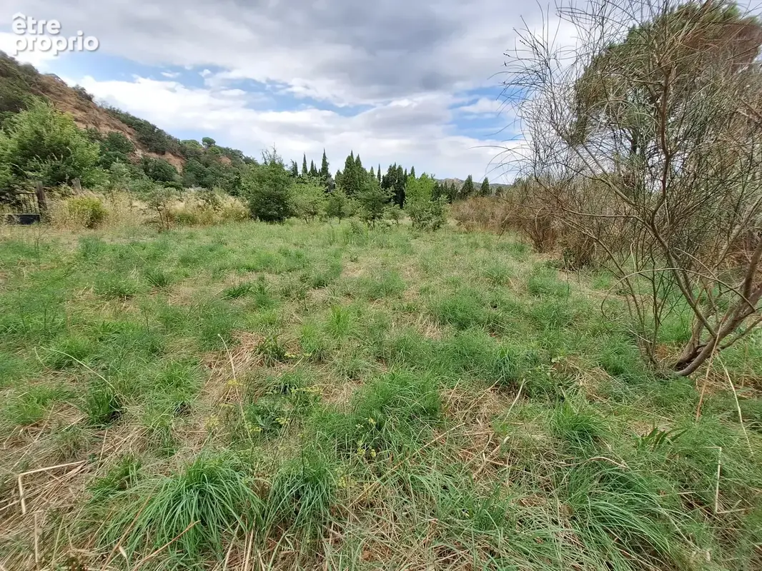 Terrain de loisir 6256m2 secteur calme - photo 2