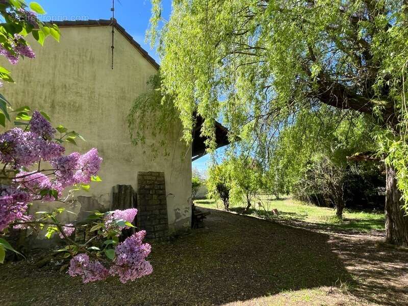 Maison à SIMANDRE